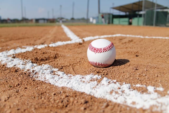 a lot goes into a great game of baseball