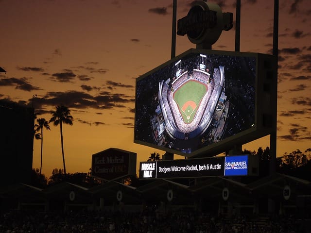 turning yourself into a professional at baseball